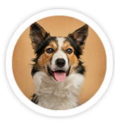 Birnam Veterinary Clinic