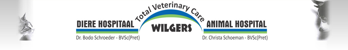 Wilgers Animal Hospital