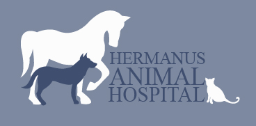 Hermanus Animal Hospital